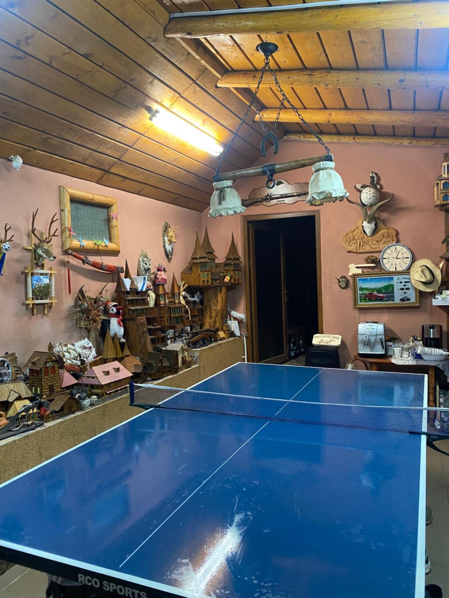 Cabana Cu Teren De Tenis -- Etaj Banita Exterior foto